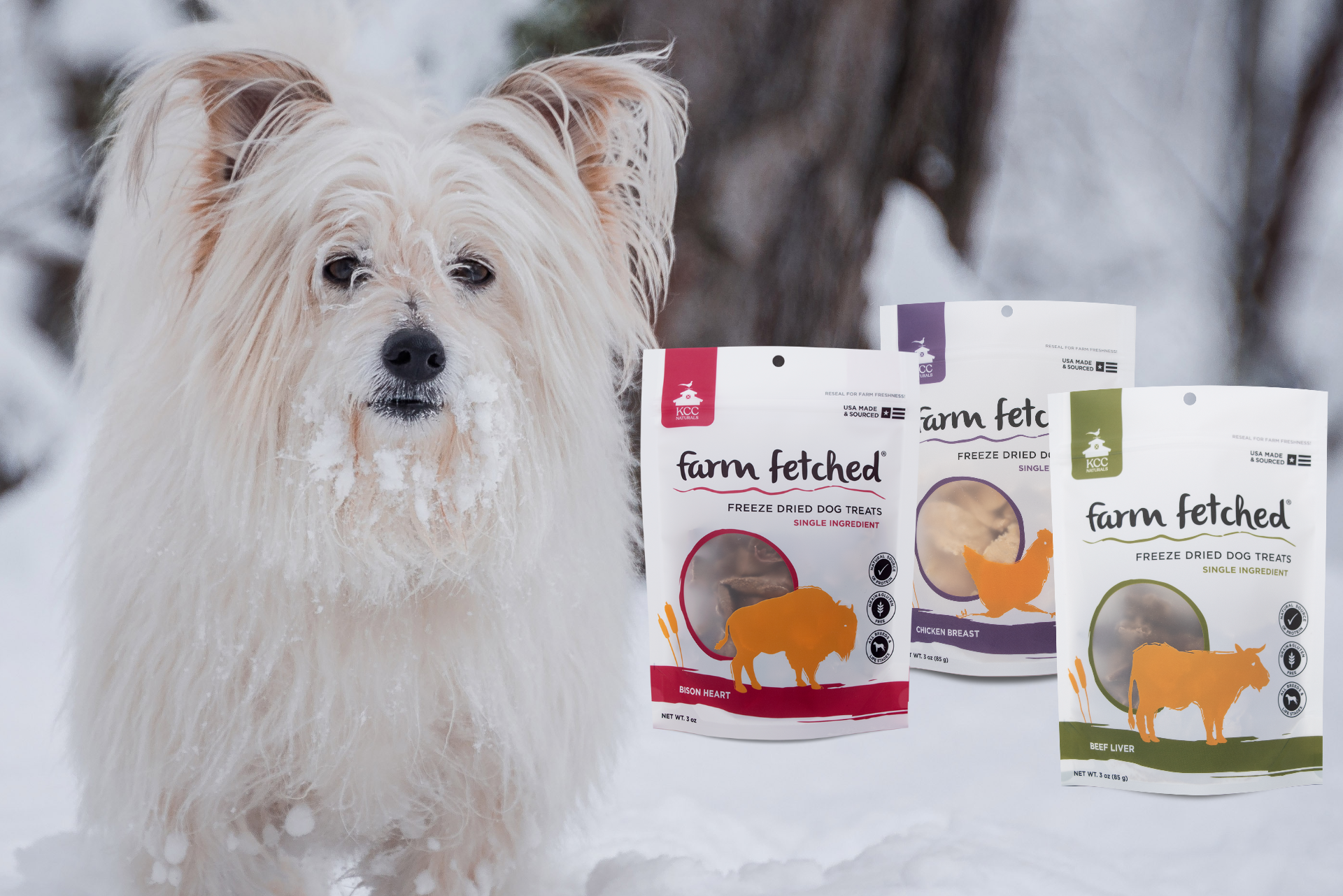 dog in snow with freeze-dried bison heart, chicken breast and beef liver flavored treat packages